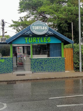 Turtles Pizza