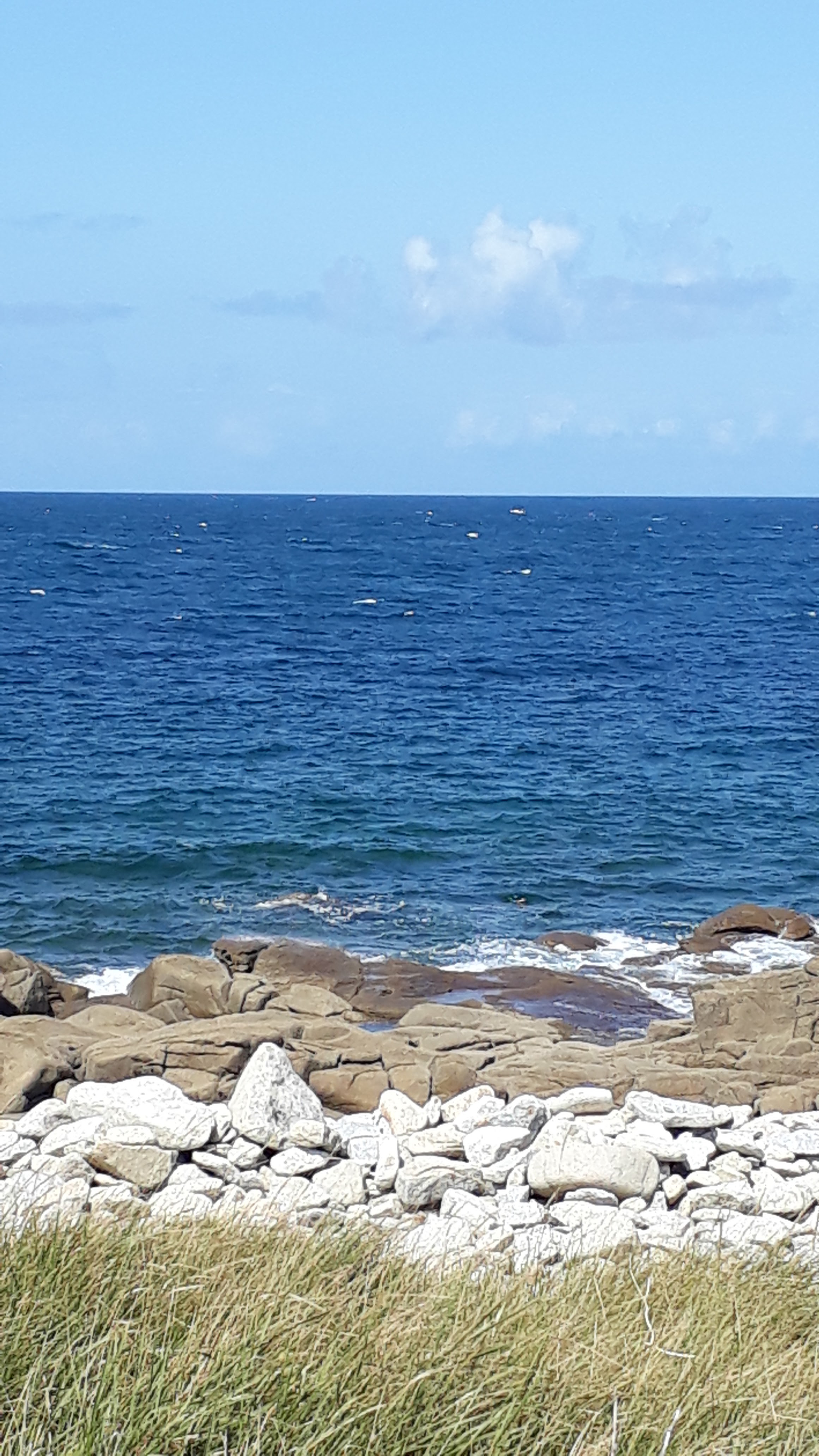 Photo n° 2 de l'avis de daphnée.i fait le 15/09/2019 à 17:45