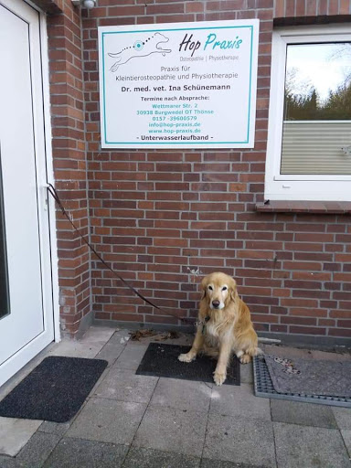 Hop Praxis für Tierphysiotherapie unter Burgwedel, 