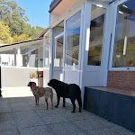 Photo n°12 de l'avis de Petra.o fait le 30/04/2024 à 12:42 sur le  Grand Hotel Bristol (Stresa) à Stresa