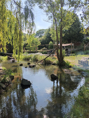 Pisciculture Auvergne Truites à Saurier