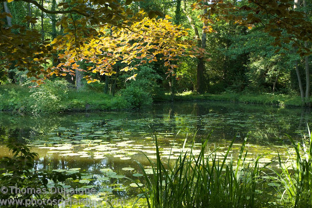 Photos du propriétaire Chambre d'hôtes LES PRES DE GITTONVILLE 91690 Saclas