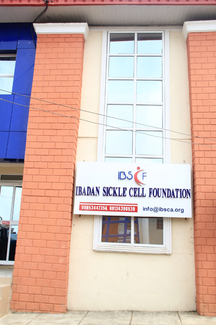 Ibadan Sickle Cell Foundation