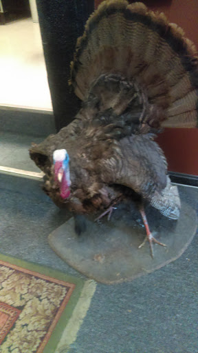 Tattoo Shop «Ink & Dagger Tattoo Co», reviews and photos, 1137 Bardstown Rd # 2, Louisville, KY 40204, USA