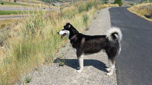 Private Golf Course «Jeremy Ranch Golf & Country Club», reviews and photos, 8770 Jeremy Rd, Park City, UT 84098, USA