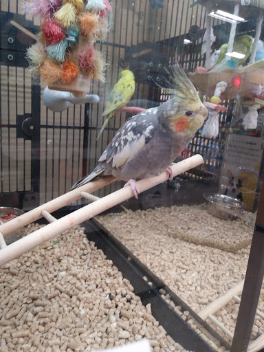 Pet Supply Store «PetSmart», reviews and photos, 300 NJ-18, East Brunswick, NJ 08816, USA