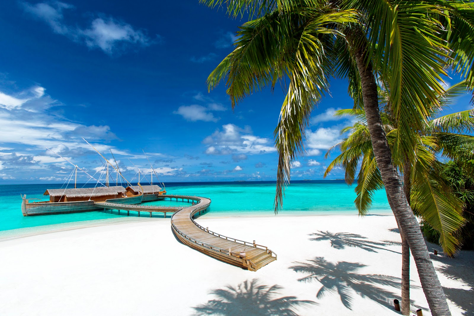 Foto von Milaidhoo Island Strand mit feiner weißer sand Oberfläche