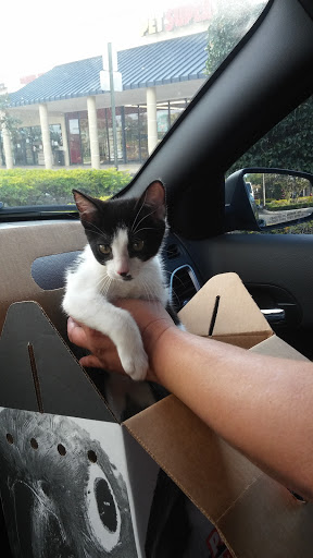 Pet Supply Store «Pet Supermarket», reviews and photos, 1125 Royal Palm Beach Blvd, Royal Palm Beach, FL 33411, USA