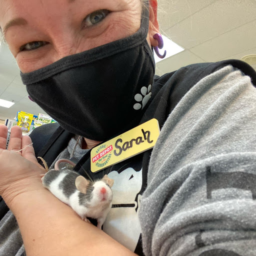 Pet Supply Store «North Tampa PET DEPOT», reviews and photos, 16033 Tampa Palms Blvd W, Tampa, FL 33647, USA