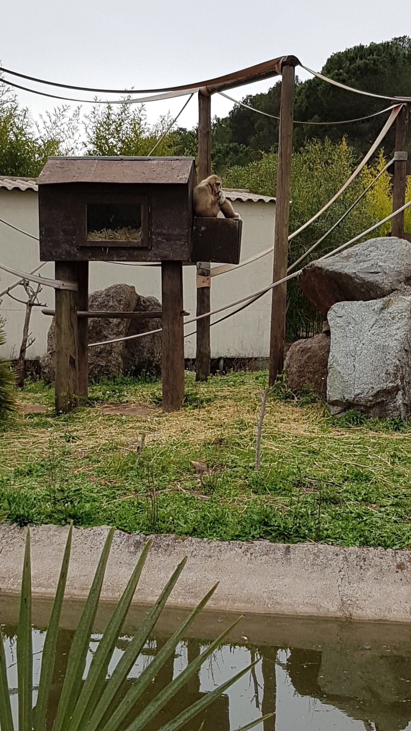 Photo n° 39 de l'avis de Isabelle.e fait le 16/04/2019 à 22:21