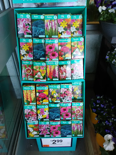 Shopping Mall «Shillington Shopping Center», reviews and photos, 502 E Lancaster Ave, Reading, PA 19607, USA