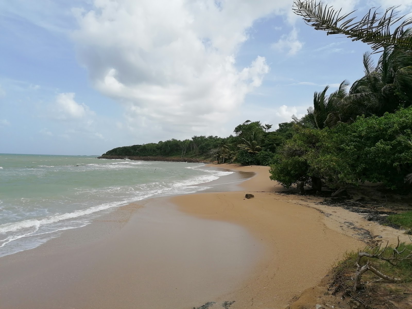 Fotografie cu Anse Vinty Beach și așezarea
