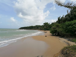 Foto von Anse Vinty Beach und die siedlung
