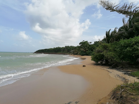 Anse Vinty Beach