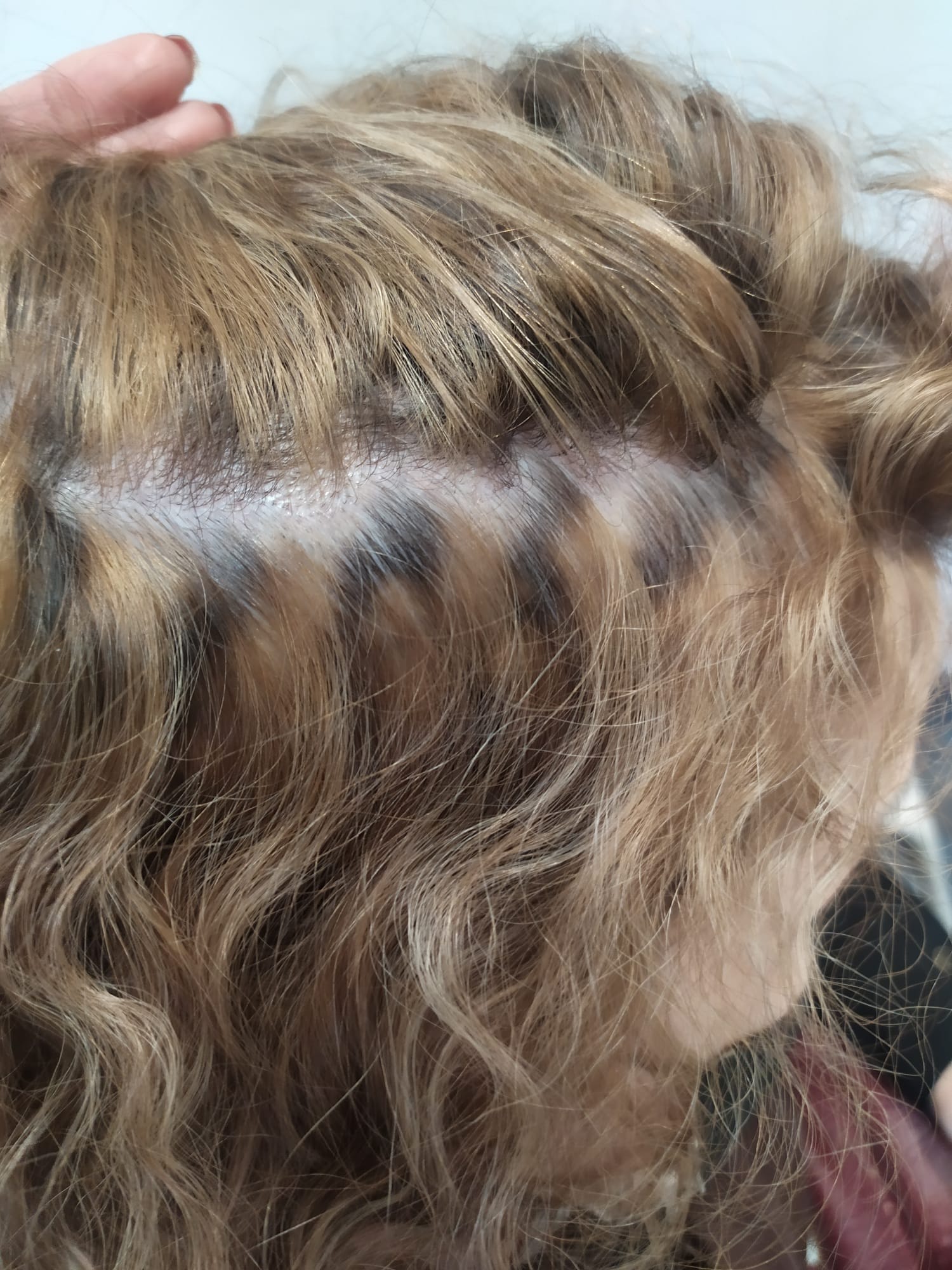 La Perfecta - Hair & Brows - 10