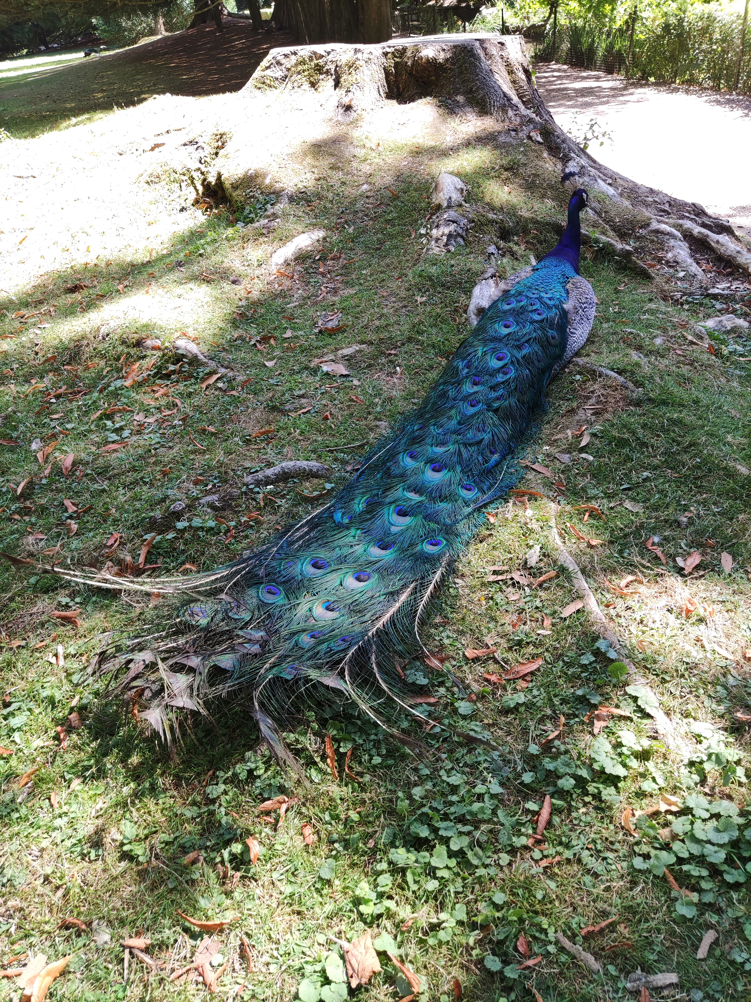 Photo n° 5 de l'avis de Gisou.o fait le 03/08/2022 à 17:23