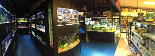 Pet Store «Petland Village of East Side», reviews and photos, 6401 Penn Ave, Pittsburgh, PA 15206, USA