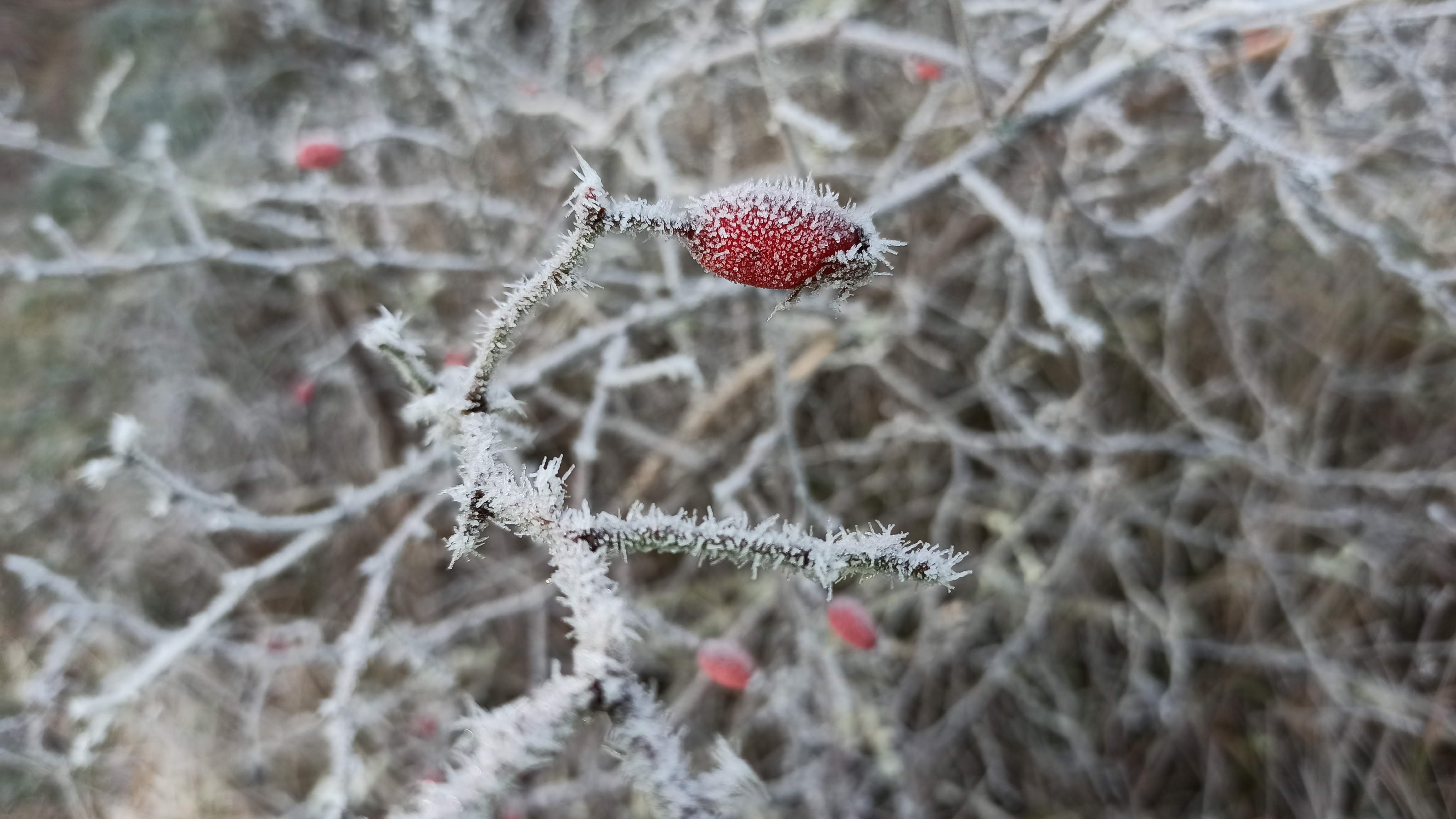 Photo n° 36 de l'avis de Veltas. fait le 30/10/2019 à 11:55