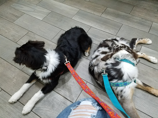 Franklin County Animal Hospital image