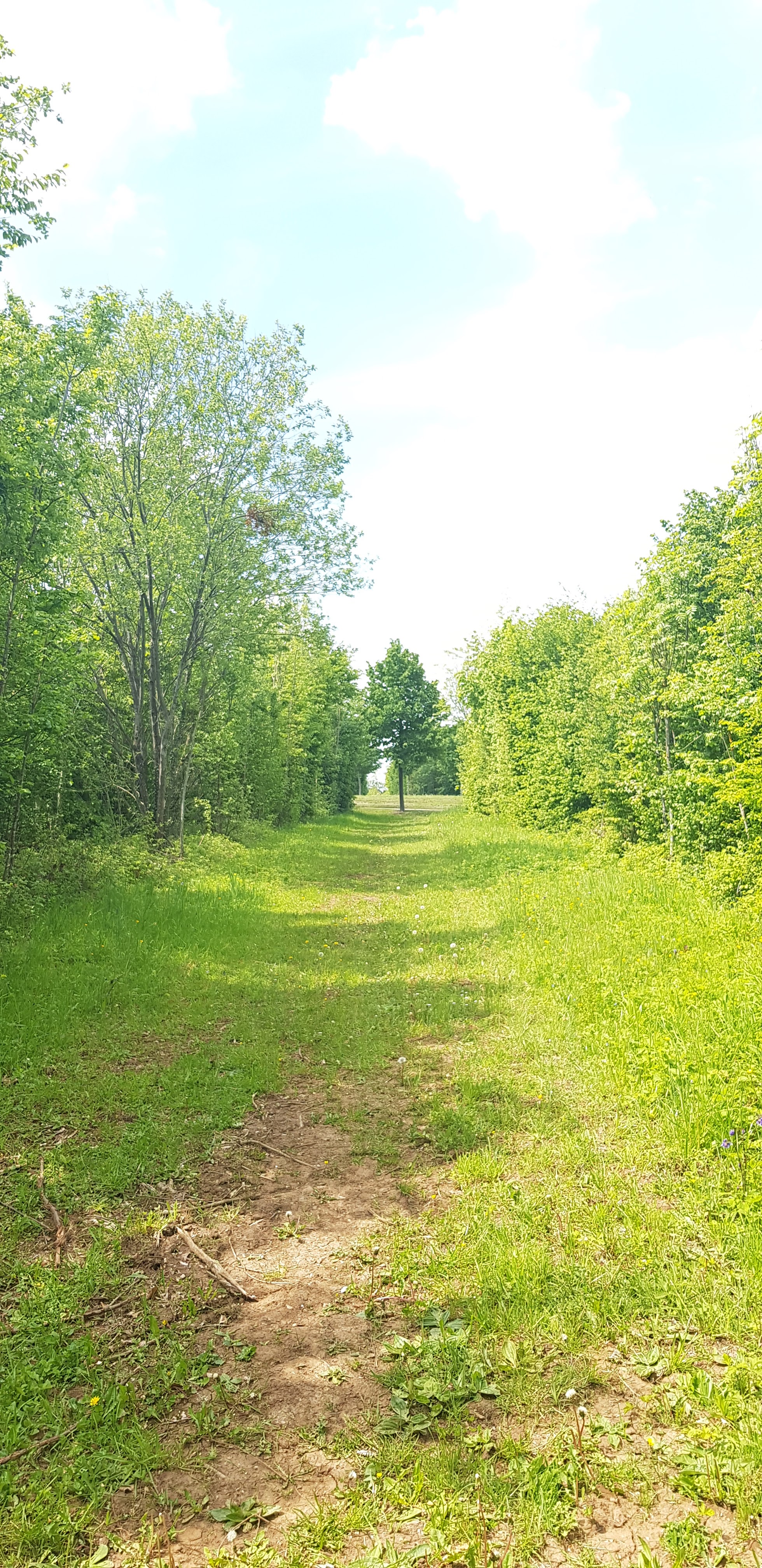 Photo n° 2 de l'avis de Samia. fait le 24/05/2019 à 17:51