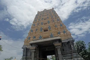 Sri Amareswara Swamy Vari Devasthanam image