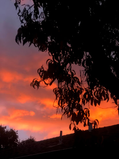 Chevrolet Dealer «Concord Chevrolet», reviews and photos, 1330 Concord Ave, Concord, CA 94520, USA