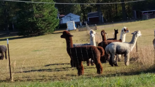 Rockville Alpaca Farm