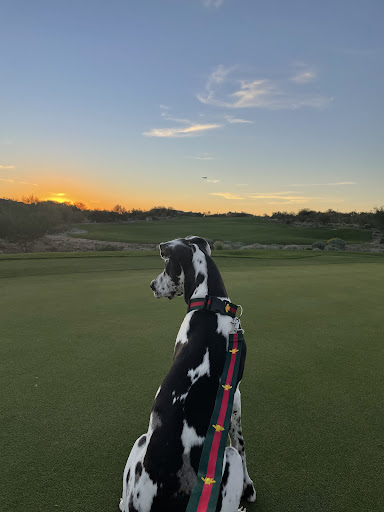 Golf Club «Silverleaf Club», reviews and photos, 18701 N Silverleaf Dr, Scottsdale, AZ 85255, USA