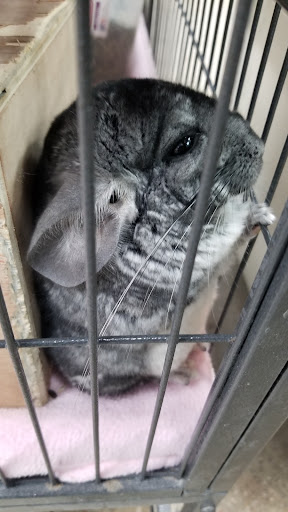 Pet Supply Store «Premier Pet Supply», reviews and photos, 31215 Southfield Rd, Beverly Hills, MI 48025, USA