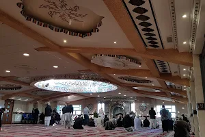 Masjid-e-Raza image