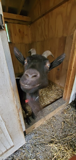 Grocery Store «Kreeky Tree Farm», reviews and photos, 8755 Jones Rd, Slatington, PA 18080, USA