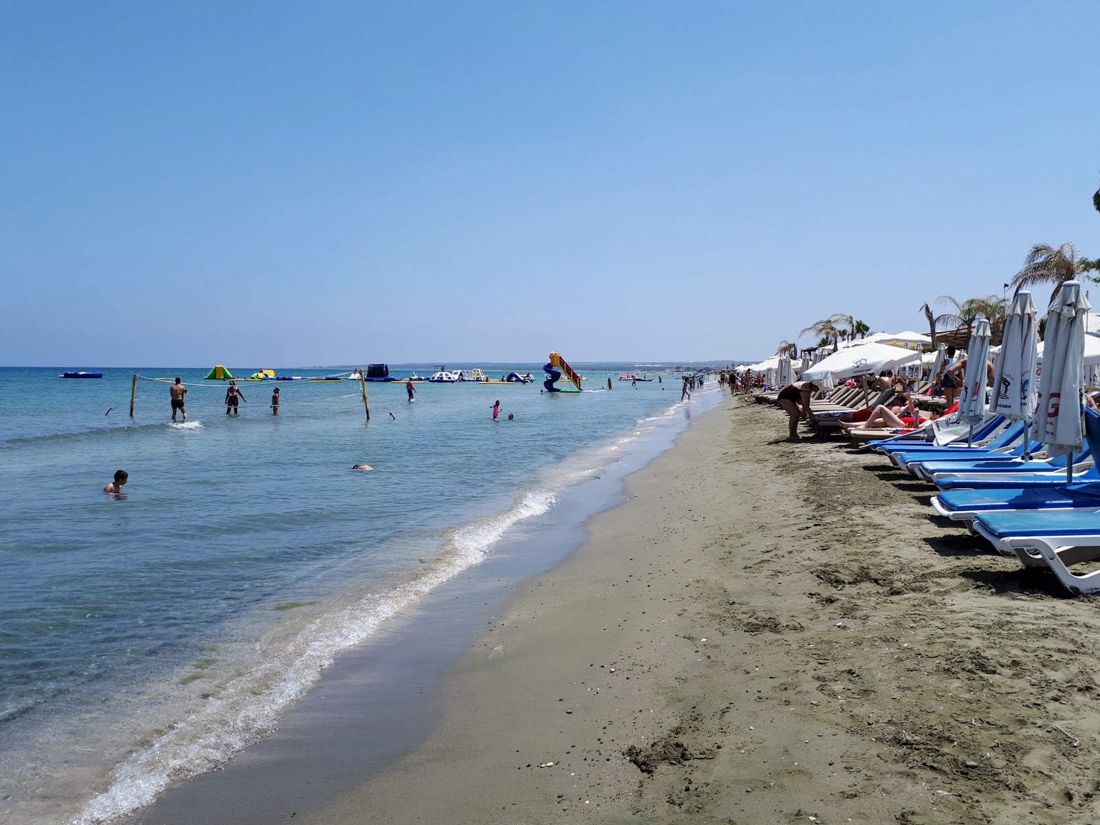 Zdjęcie Lady's Mile beach - popularne miejsce wśród znawców relaksu