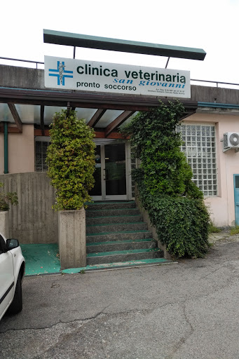 Pensioni per cani e dog hotel a Clinica Veterinaria s.giovanni