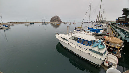 Aquarium «Morro Bay Aquarium and Gift Shop», reviews and photos, 595 Embarcadero, Morro Bay, CA 93442, USA