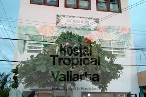 Hostal Tropical Vallarta image