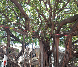 Plaza Álvarez photo