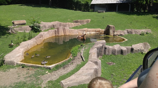 Zoo «Milwaukee County Zoo», reviews and photos, 10001 W Bluemound Rd, Milwaukee, WI 53226, USA
