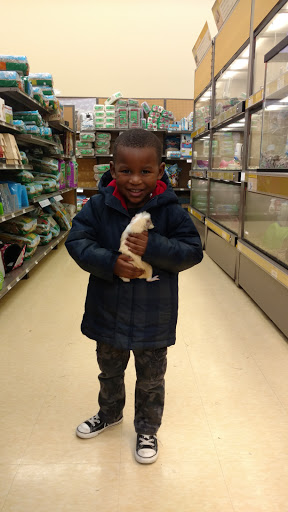 Pet Supply Store «Petco Animal Supplies», reviews and photos, 2250 Petrie Ln #518, Lanham, MD 20706, USA
