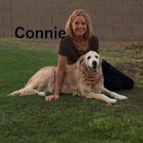 Love Your Pets Too Pet Sitting - Photo 2 - Car repair in Sun City, AZ, Phoenix