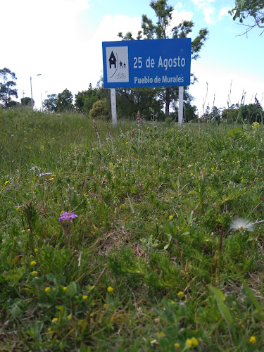 Opiniones de Piñeyro del campo en Florida - Hospital