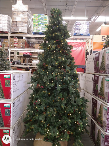 Home Improvement Store «The Home Depot», reviews and photos, 601 Woollomes Ave, Delano, CA 93215, USA