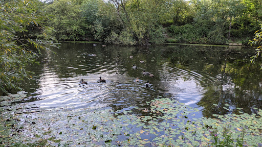 Beeston Sidings - Miniature Nature Reserve