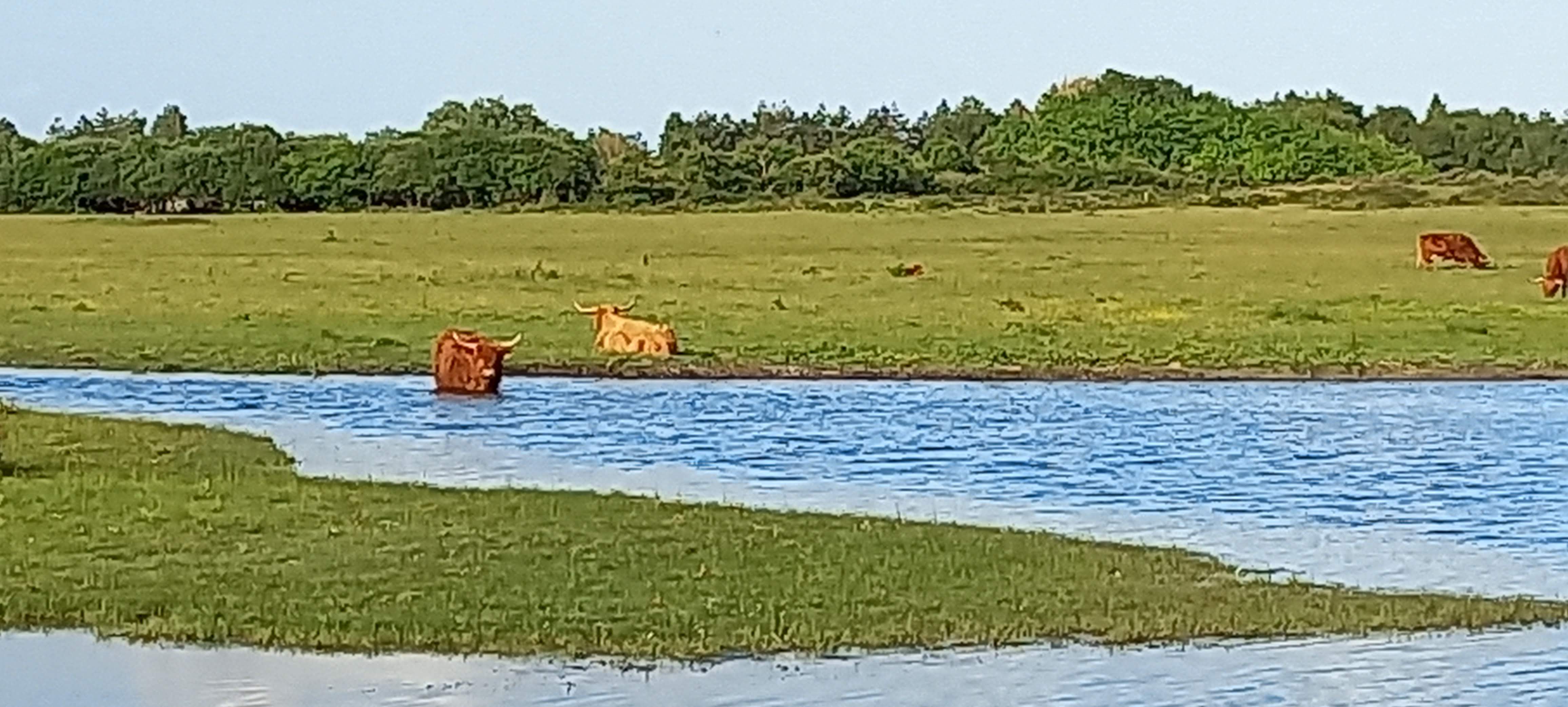 Photo n° 5 de l'avis de Frédéric.l fait le 30/05/2022 à 15:02
