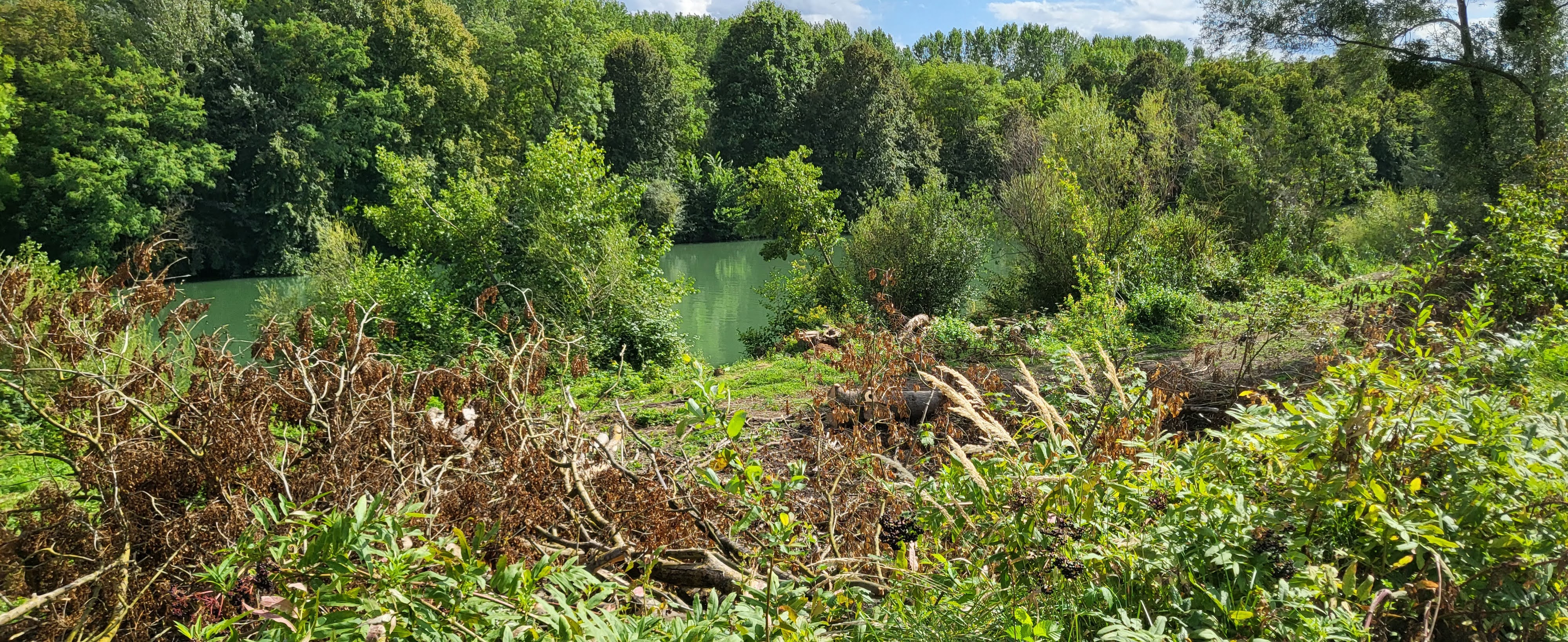 Photo n° 18 de l'avis de R. fait le 28/08/2023 à 09:54