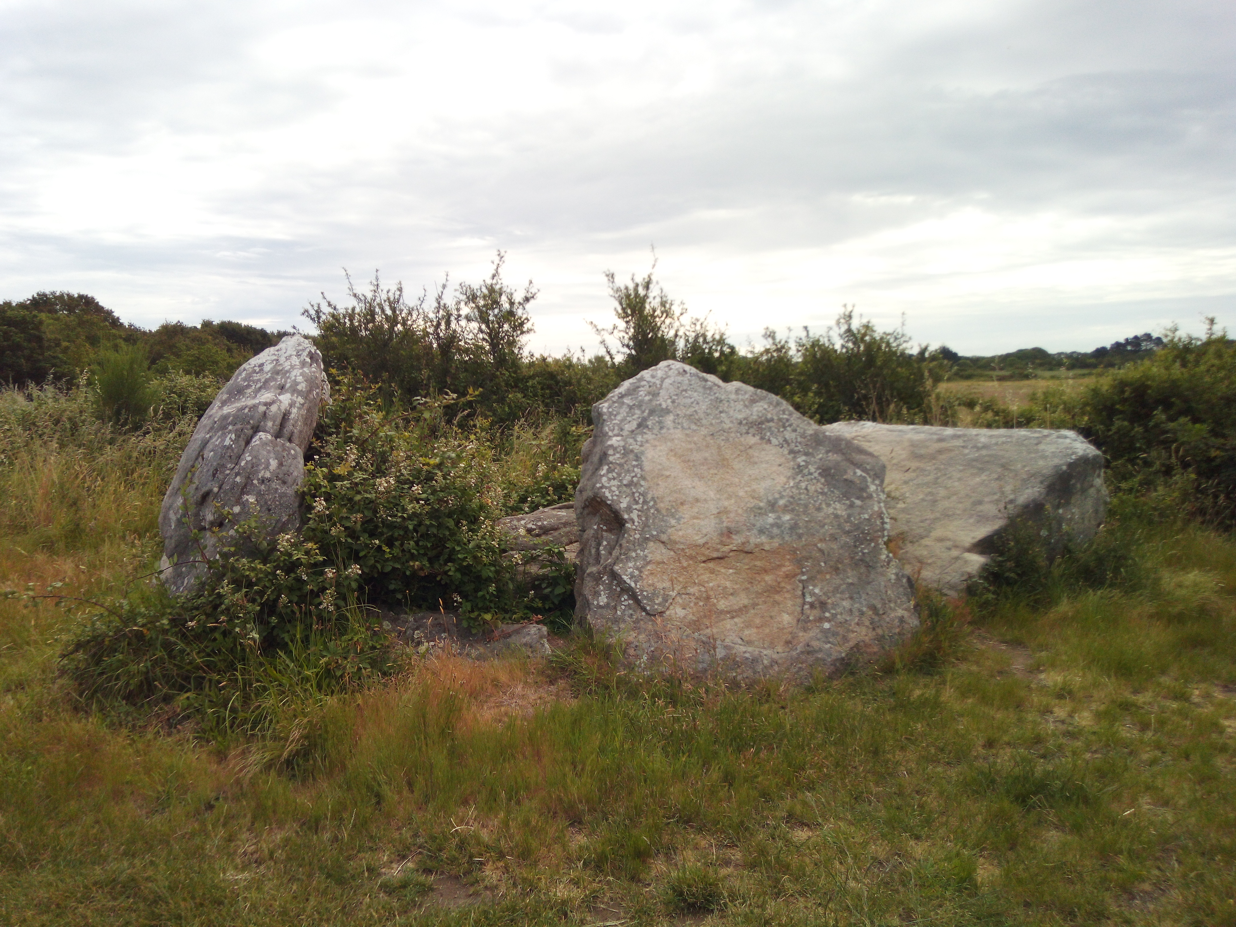 Photo n° 2 de l'avis de Jeremy.t fait le 17/06/2019 à 07:05