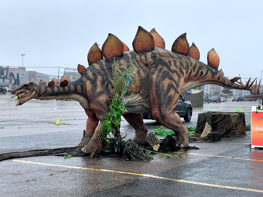 Shopping Mall «Patriot Place», reviews and photos, 2 Patriot Pl, Foxborough, MA 02035, USA