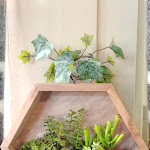 Photo n°7 de l'avis de Claudine.o fait le 31/07/2022 à 09:07 sur le  Bar Pistakkio à Sulzano