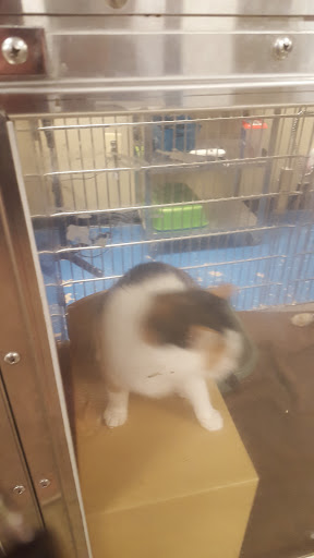 Pet Supply Store «PetSmart», reviews and photos, 1559 Merritt Blvd, Dundalk, MD 21222, USA