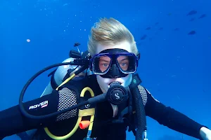 Diving Hurghada Seagate | Scuba Diving in Hurghada - PADI Dive Courses image
