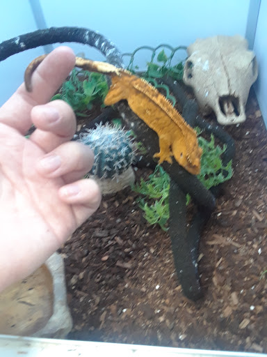 Pet Store «Pet Supermarket», reviews and photos, 2542-2598 S Washington Ave, Titusville, FL 32780, USA